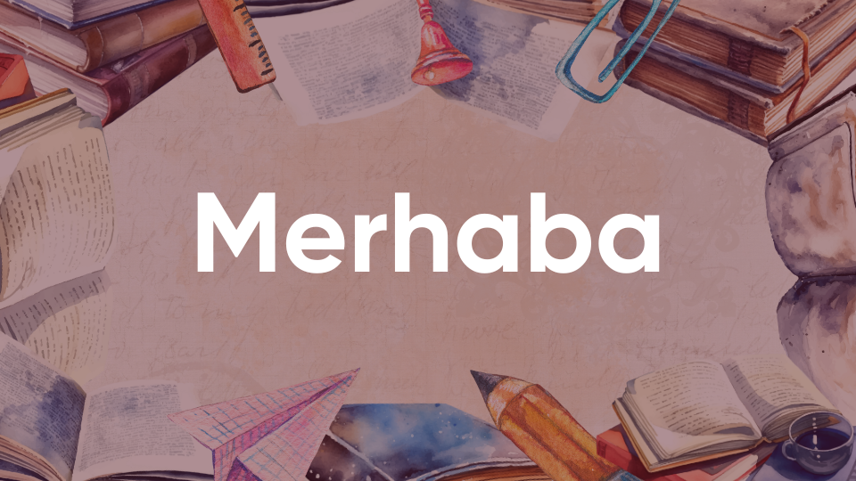 Turkish Data Annotation Services