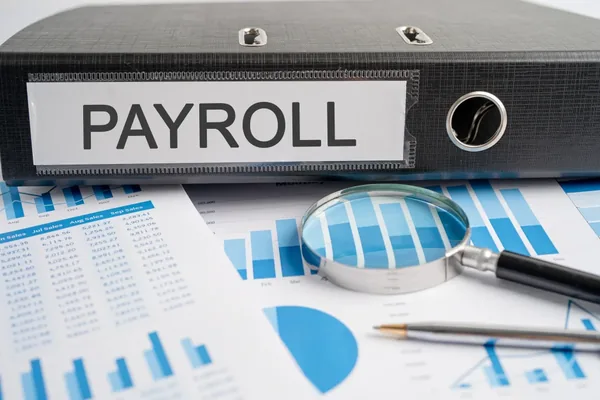 Payroll Setup in Saudi Arabia